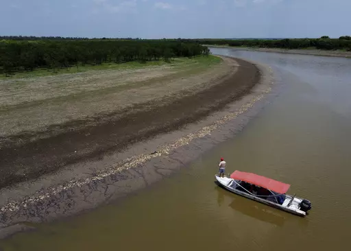 A fisherman stands on his boat as he navigates near thousands of dead fish awash on the banks of Piranha Lake due to a severe drought in the state of Amazonas, in Manacapuru, Brazil, Wednesday, Sept. 27, 2023. (AP Photo/Edmar Barros)