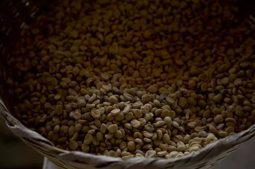 Arabica coffee beans harvested the previous year are stored at a coffee plantation in Ciudad Vieja, Guatemala, on May 22, 2014. In a study published in the journal Nature Genetics on Monday, April 15, 2024, researchers estimate that Coffea arabica came to be from natural crossbreeding of two other coffee species over 600,000 years ago. (AP Photo/Moises Castillo, File)