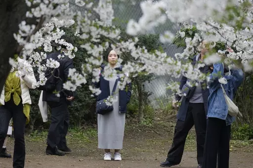 Visitors look at the seasonal cherry blossoms at the Ueno Park Friday, April 5, 2024, in Tokyo. Crowds gathered Friday in Tokyo to enjoy Japan’s famed cherry blossoms, which are blooming later than expected in the capital because of cold weather. (AP Photo/Eugene Hoshiko)