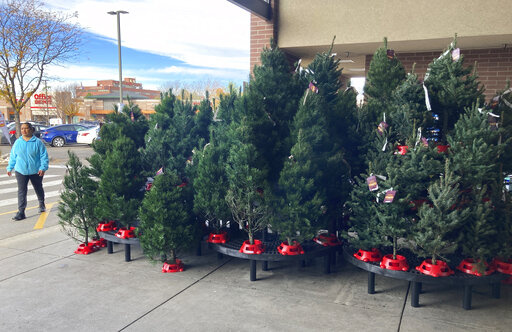 A shopper passes by a display of Christmas trees outside the main entrance to a grocery store, Tuesday, Nov. 16, 2021, in southeast Denver. Add Christmas trees to the list of items facing shortages and higher prices this year. (AP Photo/David Zalubowski)