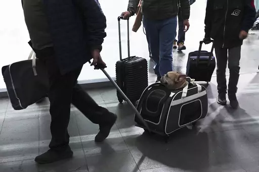 A traveler pulls his dog in a wheeled carrier at the Benito Juarez International Airport in Mexico City, Wednesday, Dec. 21, 2022. If you are bringing a dog into the U.S. — whether if you are returning from a trip overseas with Rover, visiting the U.S., or adopting a dog from abroad — you have to follow a set of new rules released by the Centers for Disease Control and Prevention on Wednesday, May 8, 2024, designed to help prevent the spread of rabies. (AP Photo/Marco Ugarte, File)