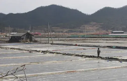 A salt farm owner walks around his salt farm on Sinui Island, South Korea, Feb. 19, 2014. (AP Photo/Ahn Young-joon, File)