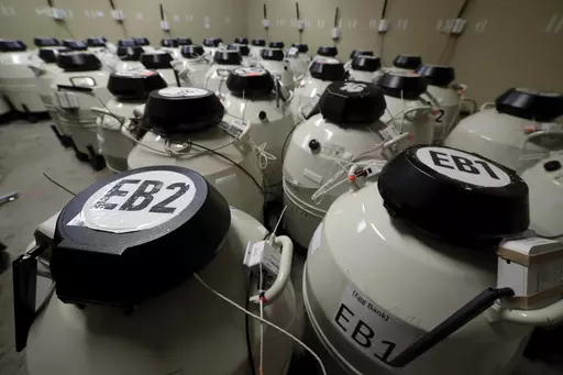 A room full of smaller cryo storage containers, each capable of holding approximately 150 egg samples immersed in liquid nitrogen, in one of the secured storage areas at the Aspire Houston Fertility Institute in vitro fertilization lab Tuesday, Feb. 27, 2024, in Houston. Women over 35 and those facing serious diseases like cancer, lupus and sickle cell are among the most likely to turn to IVF to build the families they desperately want. But in Alabama, they are among those whose dreams are in li