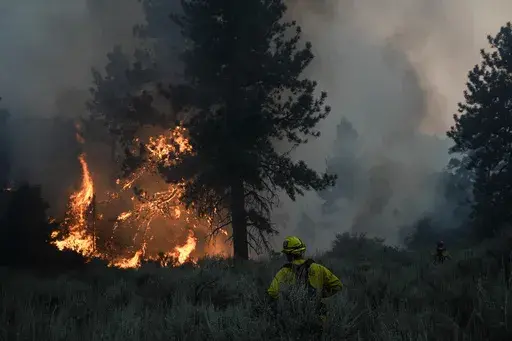 Firefighters watch the Bridge Fire consume a tree in Wrightwood, Calif., Wednesday, Sept. 11, 2024. (AP Photo/Jae C. Hong)