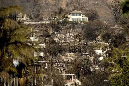 A home stands among residences destroyed by the Palisades Fire in the Pacific Palisades neighborhood of Los Angeles, Jan. 12, 2025. (AP Photo/Noah Berger, File)