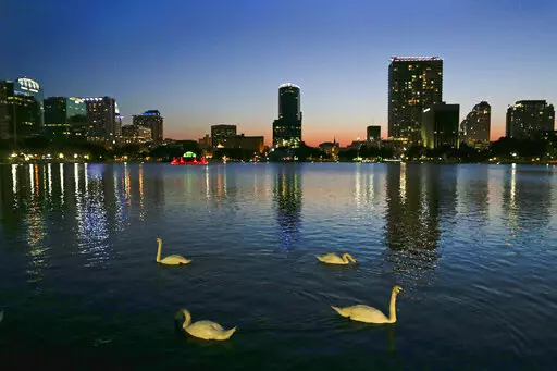 In this Monday, May 19, 2014 photo, swans swim in Lake Eola as the sun sets in Orlando, Fla.  Ballots haven't even been printed yet, but already a group of landlords and real estate agents in Florida are trying to stop voters from deciding on a measure that would implement rent control for a year in the theme park hub that has been one of the fastest-growing metro areas in the U.S. (AP Photo/John Raoux, File)