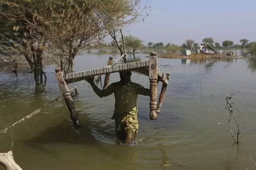 Villagers retrieve belongings, which were they kept on the higher ground surrounded floodwaters, at a village in Sohbat Pur, a flood-hit district of Baluchistan province, Pakistan, Oct. 25, 2022. Far more people are in harm's way as they move into high flood zones across the globe, adding to an increase in watery disasters from climate change, a new study said. (AP Photo/Fareed Khan, File)