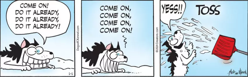 Dogs of C-Kennel for Jan 01, 2024