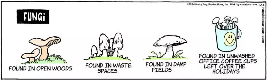 The Other Coast for Jan 02, 2024