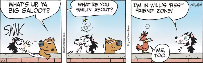 Dogs of C-Kennel for Jan 02, 2024