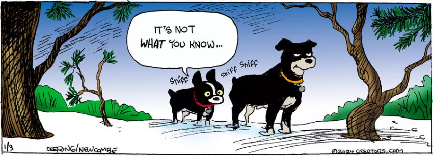 Zack Hill for Jan 03, 2024