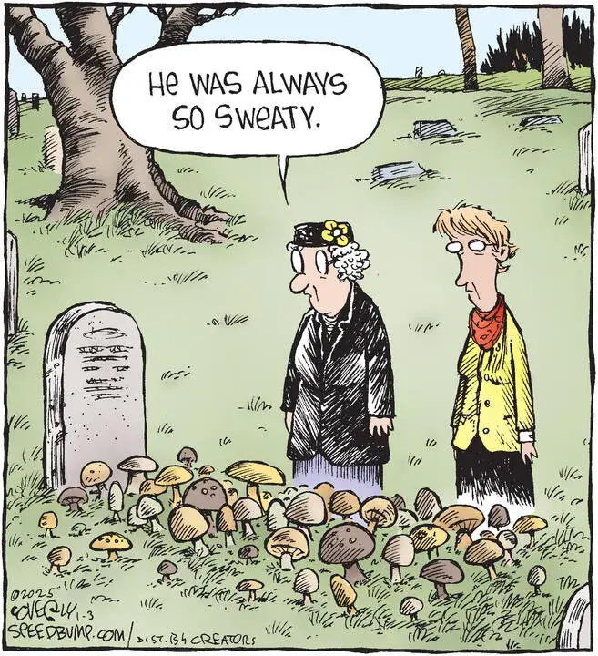 Speed Bump for Jan 03, 2025