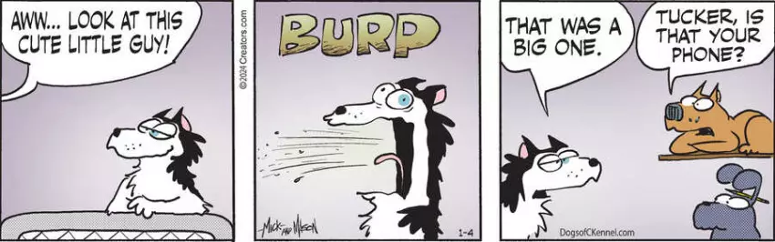 Dogs of C-Kennel for Jan 04, 2024