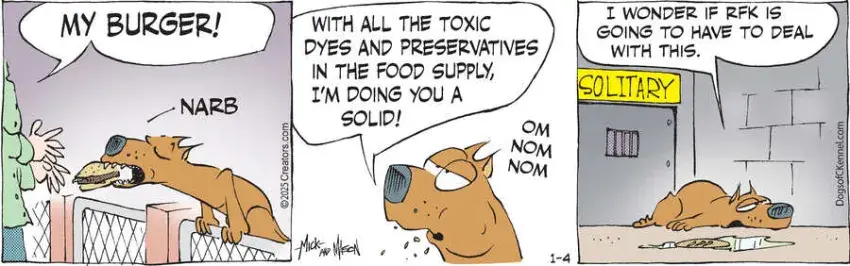 Dogs of C-Kennel for Jan 04, 2025