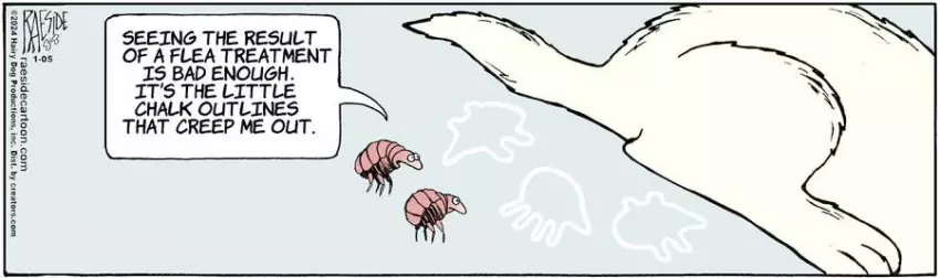 The Other Coast for Jan 05, 2024