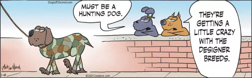 Dogs of C-Kennel for Jan 06, 2024
