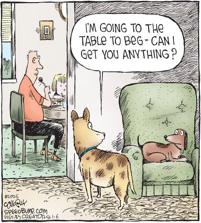 Speed Bump for Jan 06, 2025