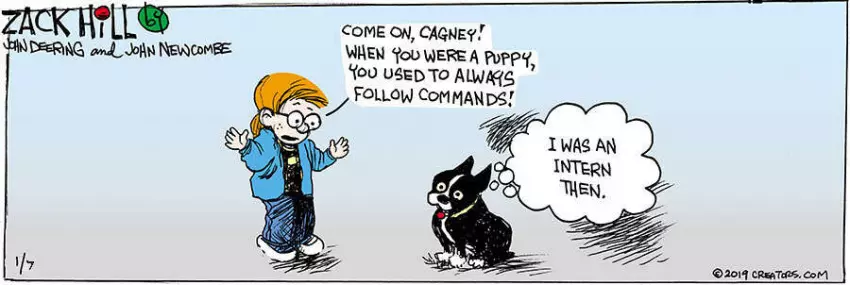 Zack Hill for Jan 07, 2024