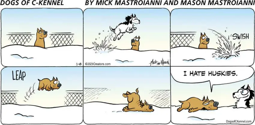 Dogs of C-Kennel for Jan 08, 2023
