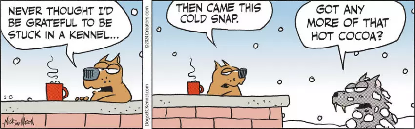 Dogs of C-Kennel for Jan 08, 2024