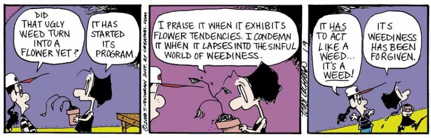 Agnes for Jan 09, 2024