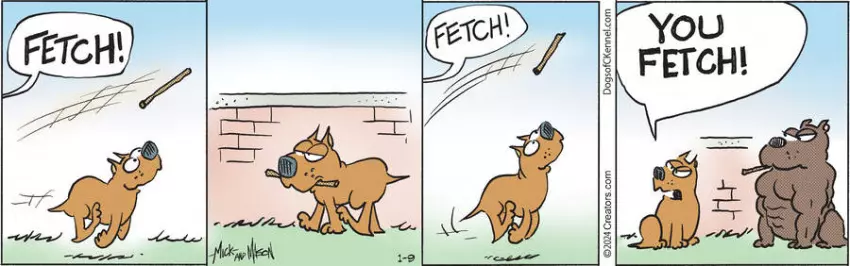 Dogs of C-Kennel for Jan 09, 2024