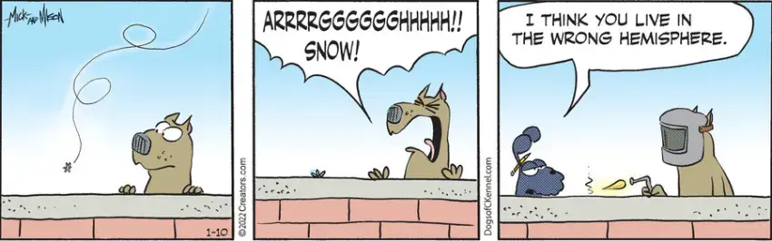 Dogs of C-Kennel for Jan 10, 2022