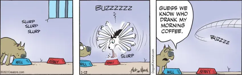 Dogs of C-Kennel for Jan 12, 2022