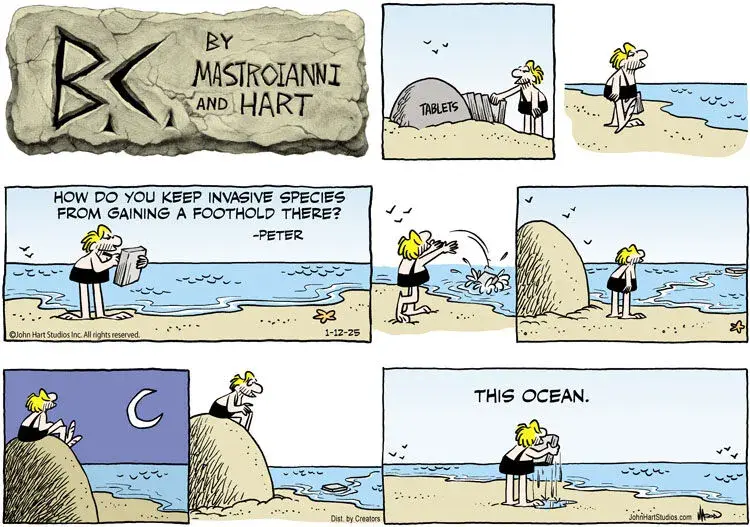 B.C. for Jan 12, 2025