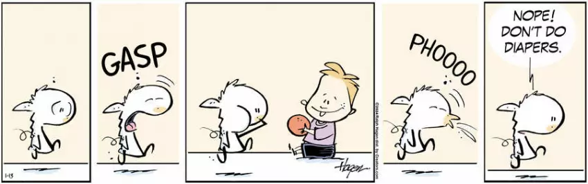 The Barn for Jan 13, 2024