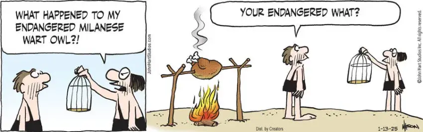 B.C. for Jan 13, 2025