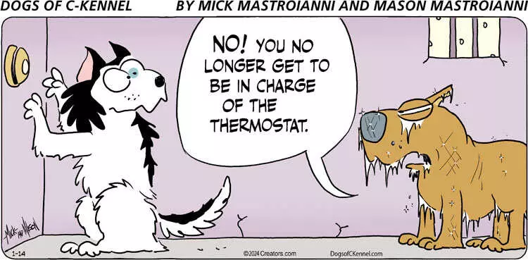 Dogs of C-Kennel for Jan 14, 2024