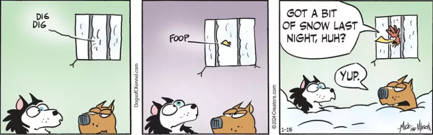 Dogs of C-Kennel for Jan 15, 2024