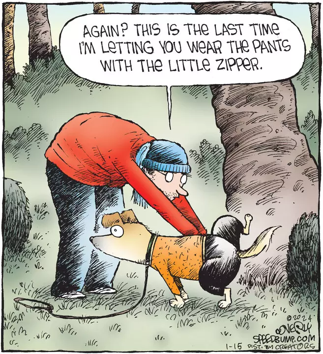 Speed Bump for Jan 15, 2024