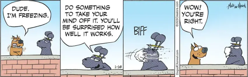 Dogs of C-Kennel for Jan 16, 2023