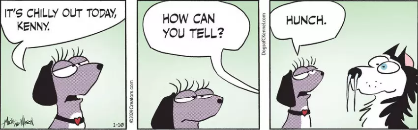 Dogs of C-Kennel for Jan 16, 2024