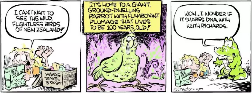 Shrimp and Grits for Jan 18, 2024