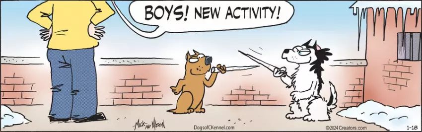 Dogs of C-Kennel for Jan 18, 2024