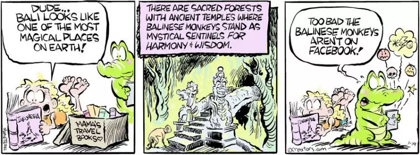 Shrimp and Grits for Jan 19, 2024