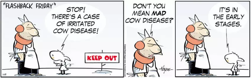 The Barn for Jan 19, 2024