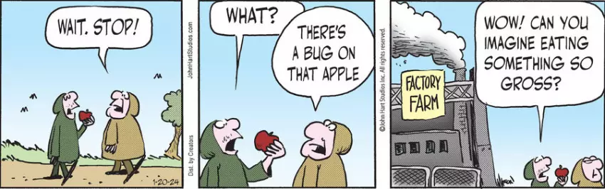 Wizard of Id for Jan 20, 2024