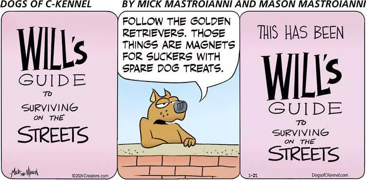 Dogs of C-Kennel for Jan 21, 2024