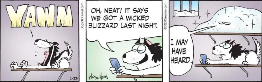 Dogs of C-Kennel for Jan 23, 2023