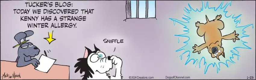 Dogs of C-Kennel for Jan 23, 2024