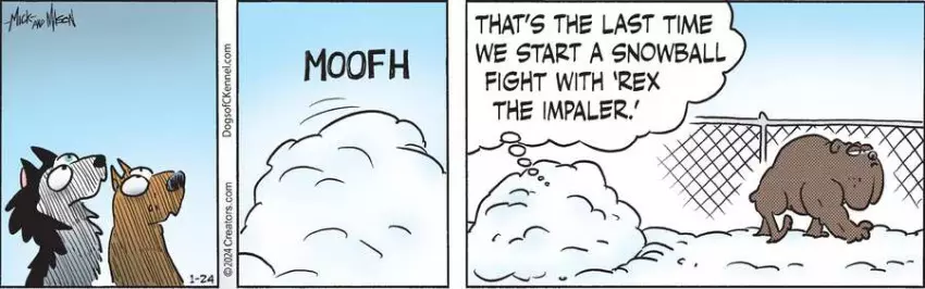 Dogs of C-Kennel for Jan 24, 2024