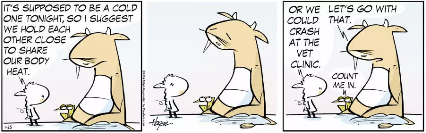 The Barn for Jan 25, 2024