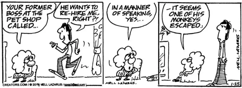 Momma for Jan 25, 2025