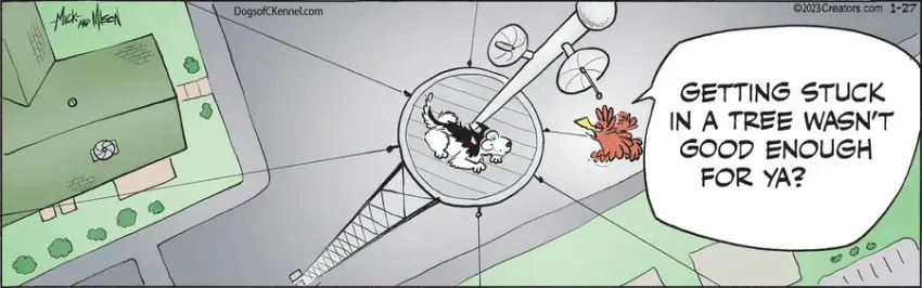 Dogs of C-Kennel for Jan 27, 2023