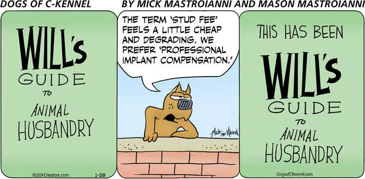 Dogs of C-Kennel for Jan 28, 2024