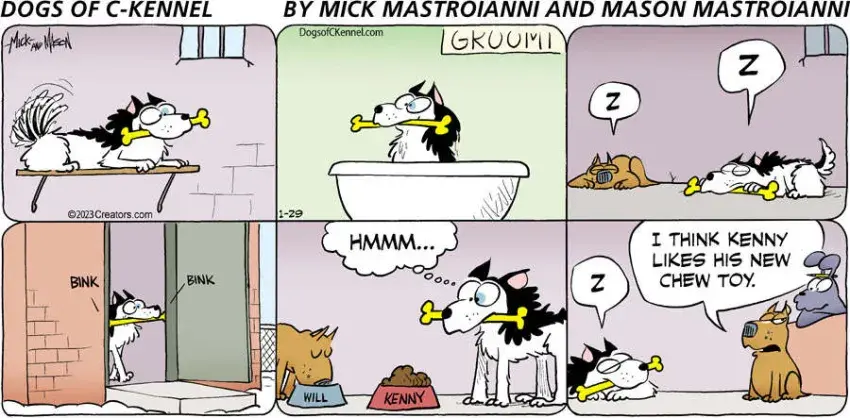 Dogs of C-Kennel for Jan 29, 2023